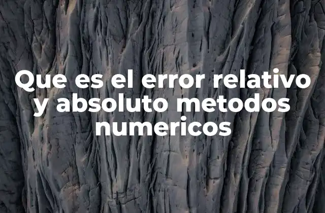 Que es el Error Relativo y Absoluto Metodos Numericos