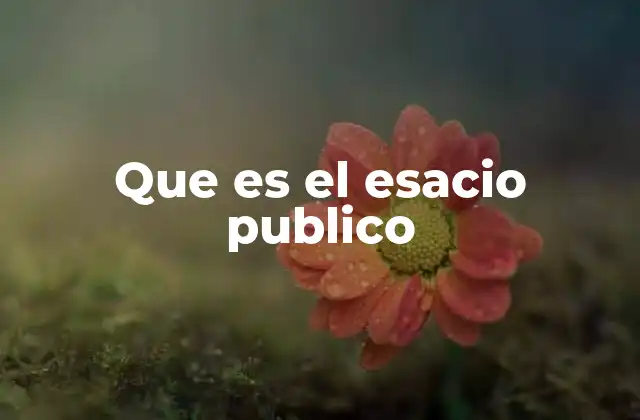 Que es el Esacio Publico
