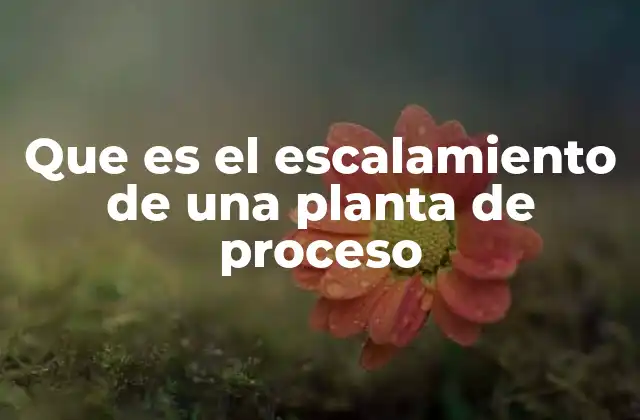 Que es el Escalamiento de una Planta de Proceso