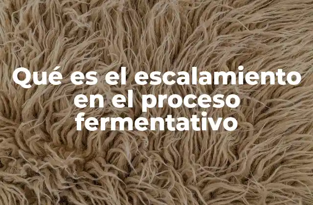 Qué es el Escalamiento en el Proceso Fermentativo