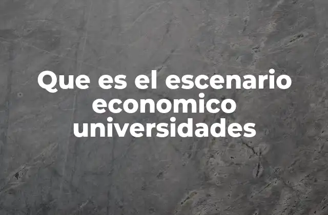 Que es el Escenario Economico Universidades