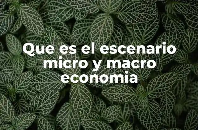 Que es el Escenario Micro y Macro Economia