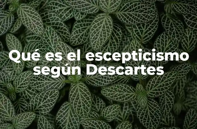 Qué es el Escepticismo según Descartes