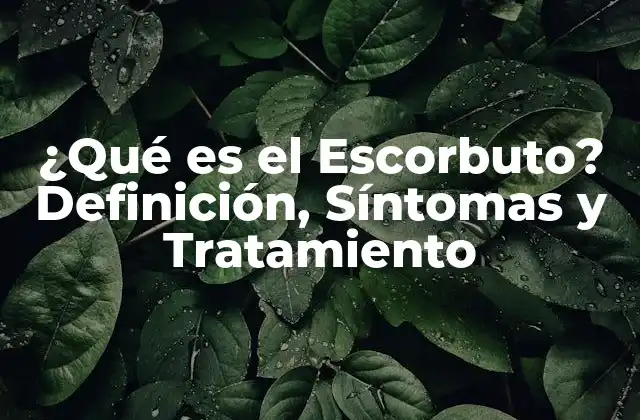 ¿qué es el Escorbuto? Definición, Síntomas y Tratamiento