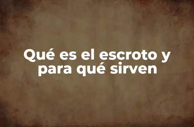 Qué es el Escroto y para Qué Sirven