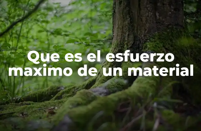 El esfuerzo máximo como indicador de la resistencia de un material