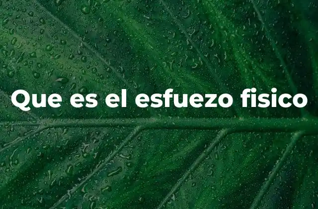 Que es el Esfuezo Fisico