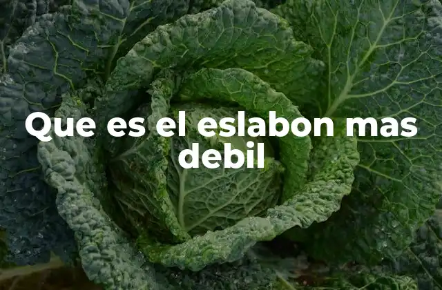Que es el Eslabon mas Debil