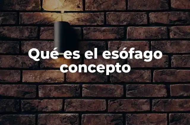 Qué es el Esófago Concepto