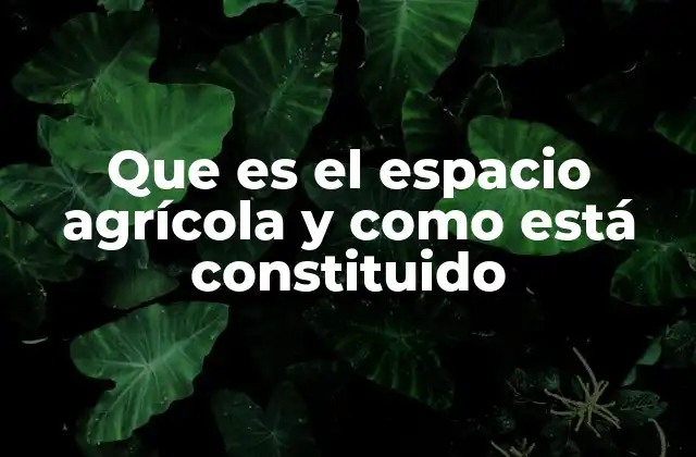 Que es el Espacio Agrícola y como Está Constituido