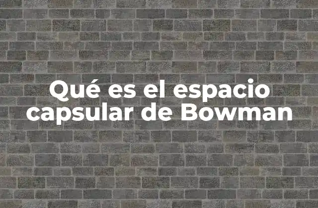 Qué es el Espacio Capsular de Bowman