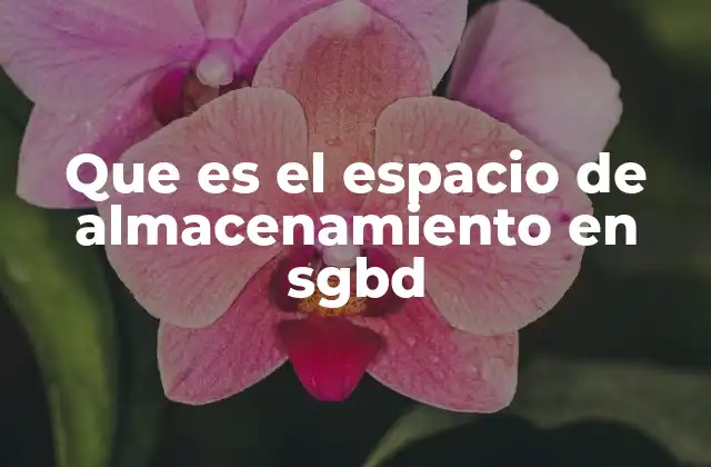 Que es el Espacio de Almacenamiento en Sgbd