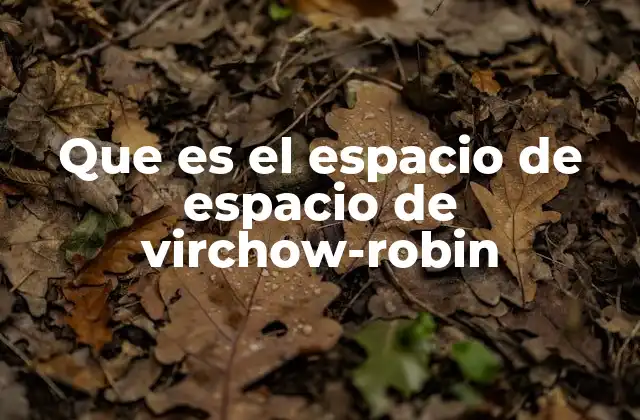 Que es el Espacio de Espacio de Virchow-robin