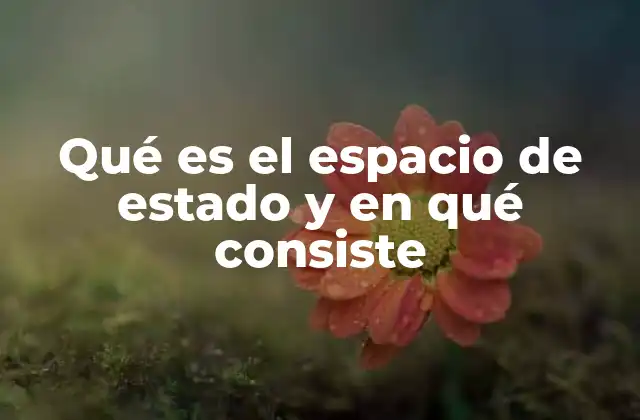 Qué es el Espacio de Estado y en Qué Consiste