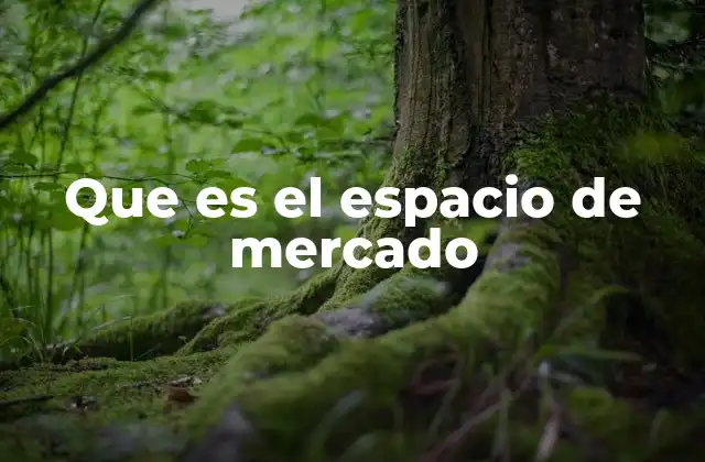 La importancia de comprender la percepción del consumidor