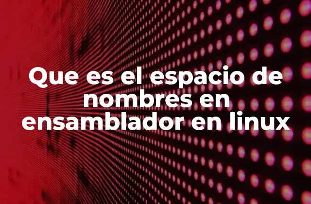 Que es el Espacio de Nombres en Ensamblador en Linux