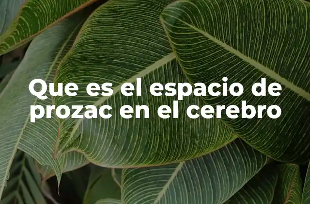 Que es el Espacio de Prozac en el Cerebro