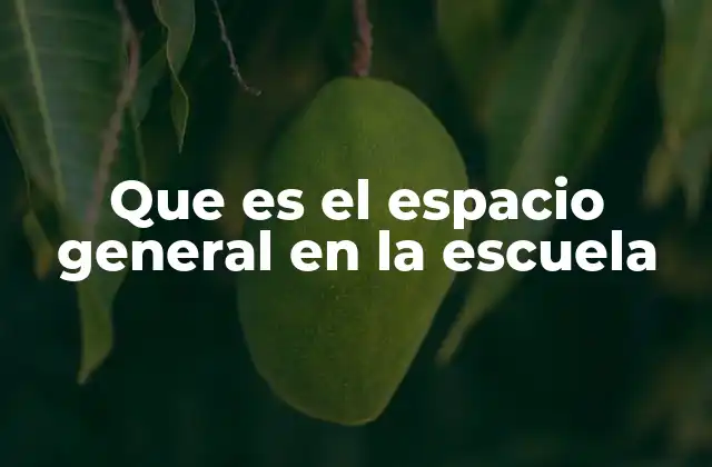 Que es el Espacio General en la Escuela