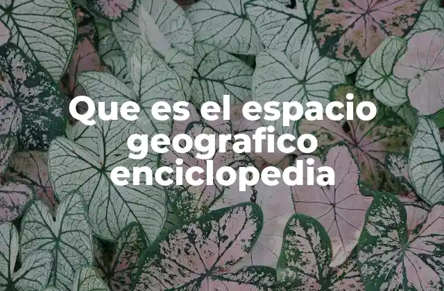 Que es el Espacio Geografico Enciclopedia