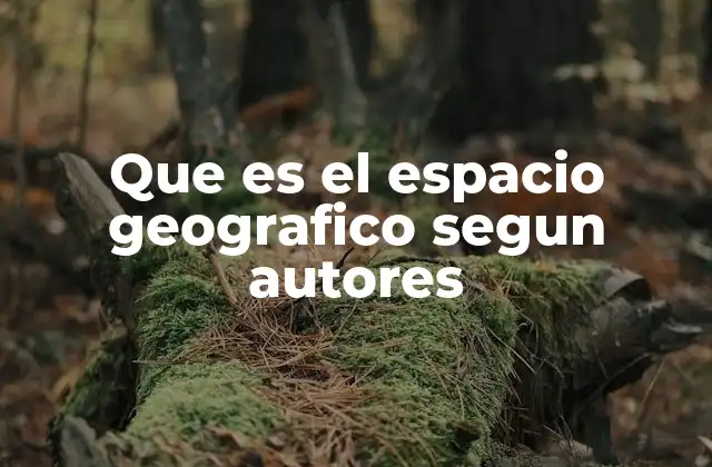 Que es el Espacio Geografico Segun Autores