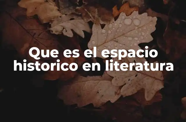 Que es el Espacio Historico en Literatura