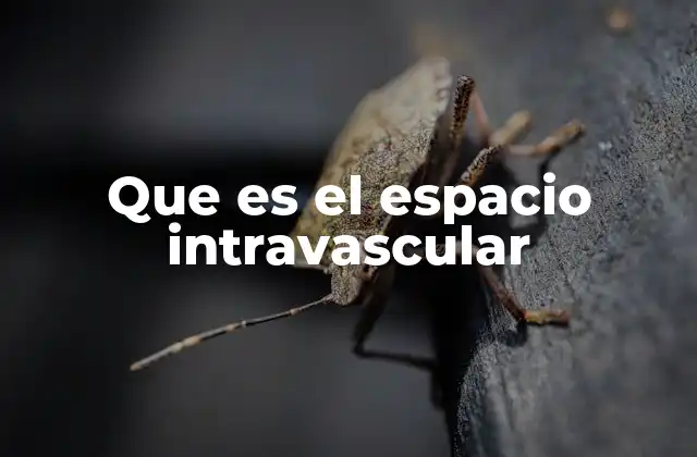 Que es el Espacio Intravascular