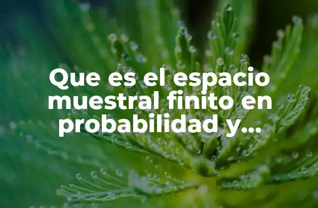 El rol del espacio muestral en la teoría de la probabilidad