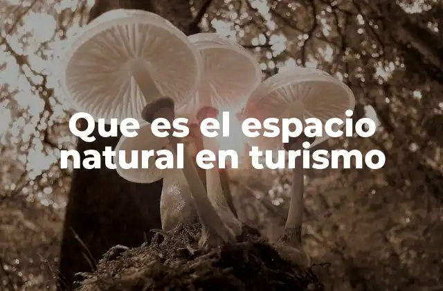 Que es el Espacio Natural en Turismo 2 El rol de los espacios naturales en el turismo sostenible