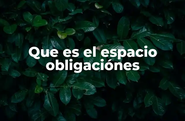 Que es el Espacio Obligaciónes 2 El entorno donde las obligaciones cobran vida