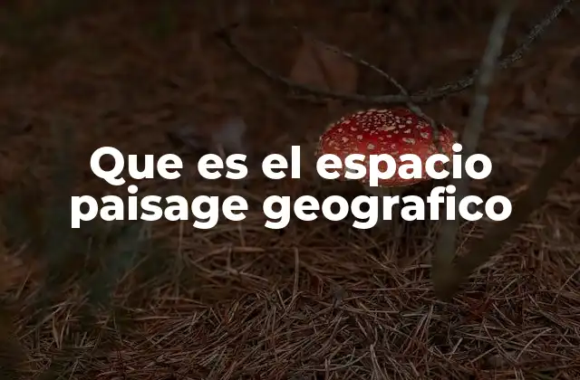 Que es el Espacio Paisage Geografico