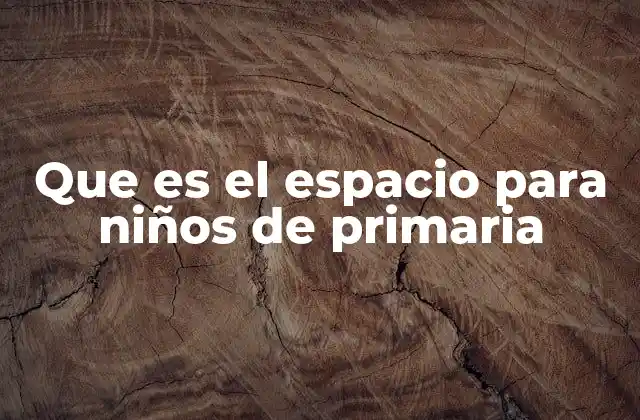Que es el Espacio para Niños de Primaria