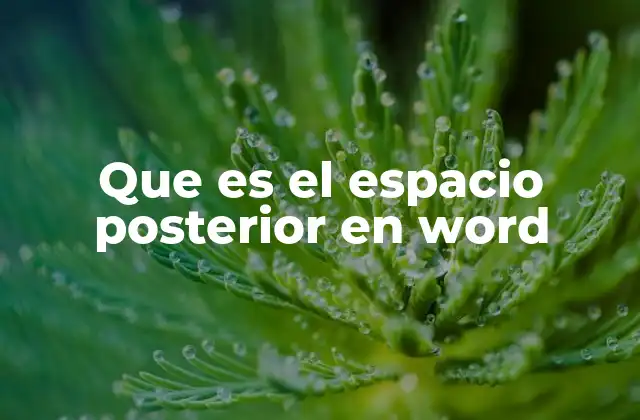Que es el Espacio Posterior en Word