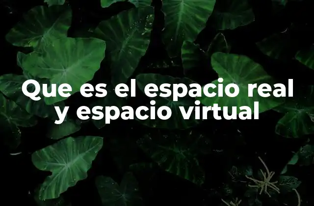 Que es el Espacio Real y Espacio Virtual