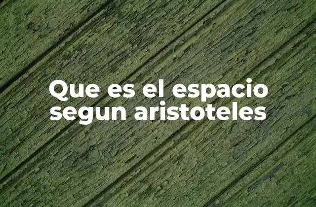 Que es el Espacio Segun Aristoteles 2 La noción aristotélica del lugar y su relación con el espacio
