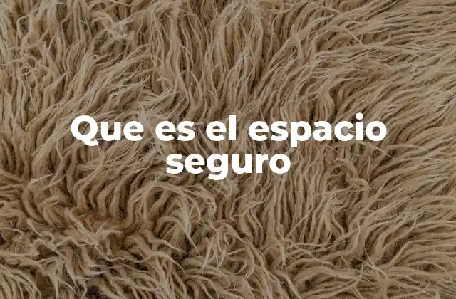 Que es el Espacio Seguro