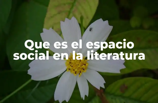 Que es el Espacio Social en la Literatura 2 La representación del entorno como reflejo de la sociedad