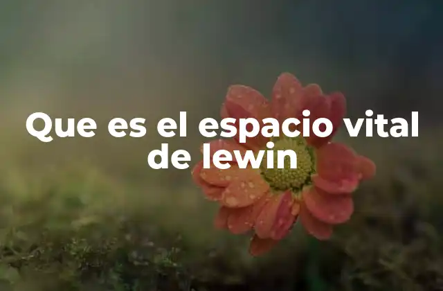 Que es el Espacio Vital de Lewin