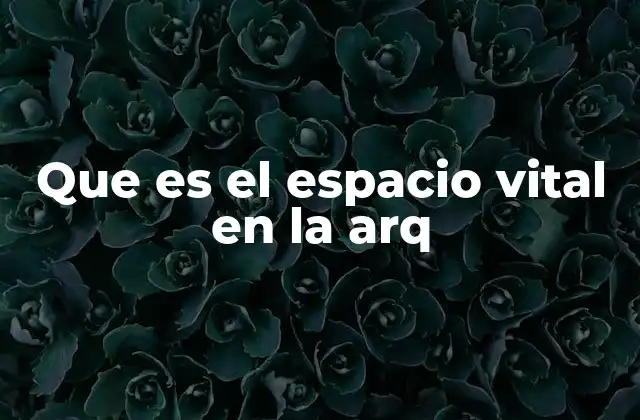 Que es el Espacio Vital en la Arq