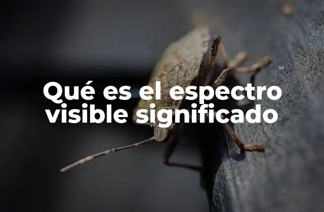 Qué es el Espectro Visible Significado
