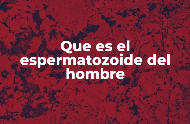 Que es el Espermatozoide Del Hombre
