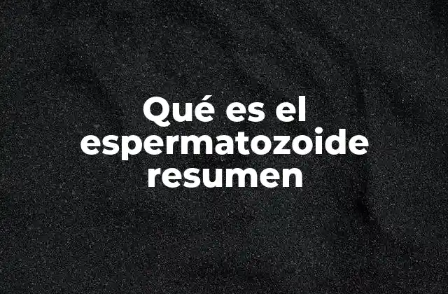 Qué es el Espermatozoide Resumen