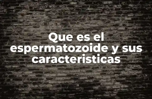 Que es el Espermatozoide y Sus Caracteristicas
