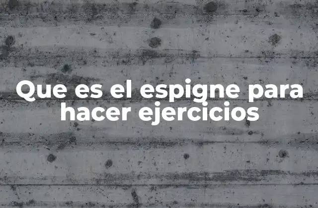 Que es el Espigne para Hacer Ejercicios