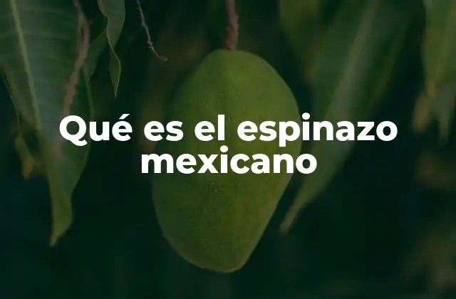 Qué es el Espinazo Mexicano
