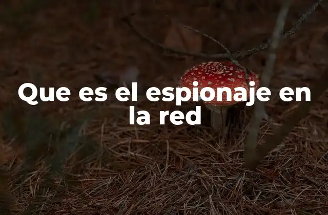 Que es el Espionaje en la Red