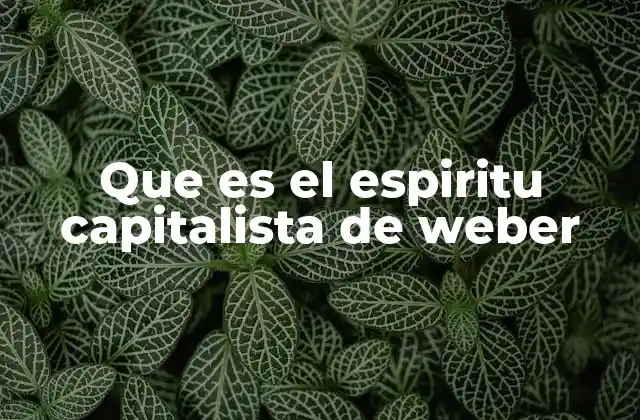 Que es el Espiritu Capitalista de Weber