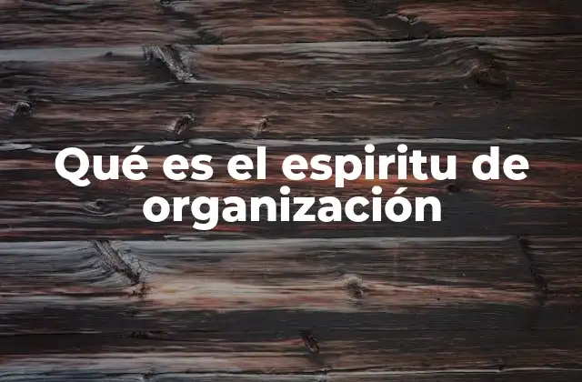 Qué es el Espiritu de Organización 2 La importancia de la estructura en la vida moderna