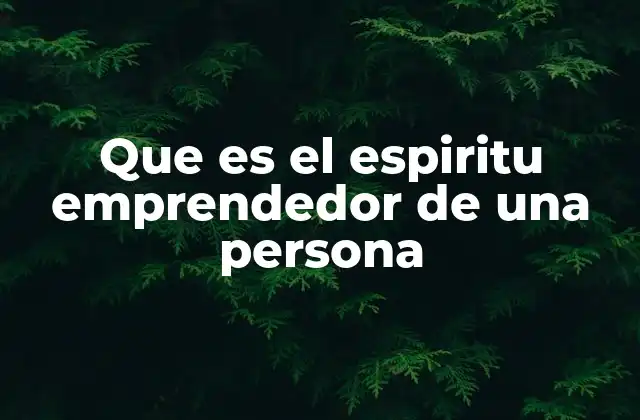 Que es el Espiritu Emprendedor de una Persona