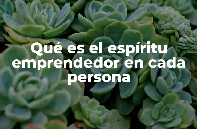 Qué es el Espíritu Emprendedor en Cada Persona