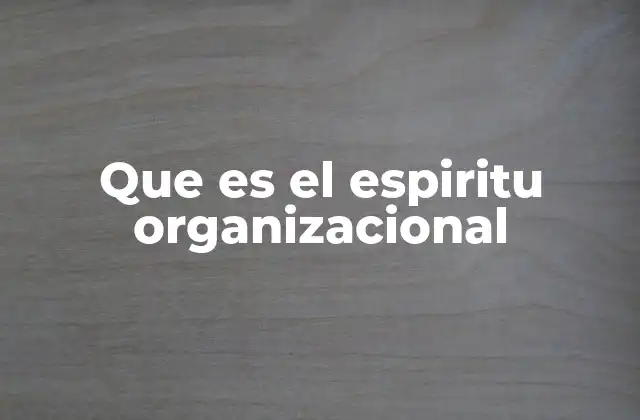Que es el Espiritu Organizacional